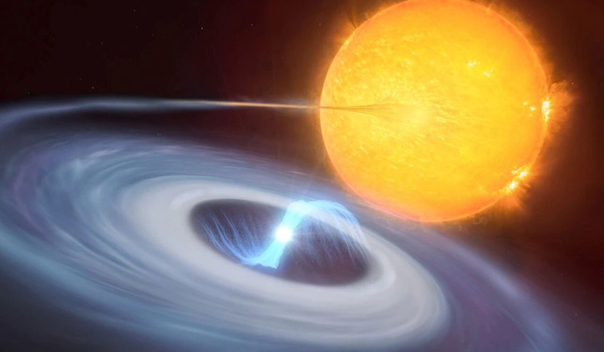Stellar explosions